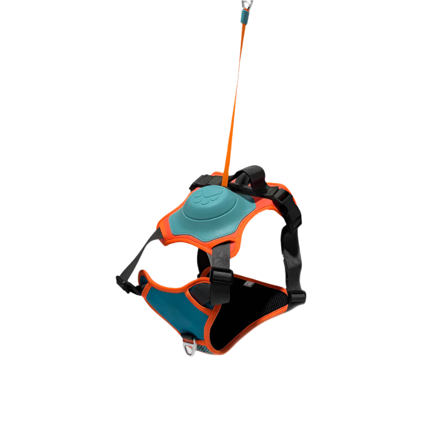 All-in-One Dog Harness & Retractable Leash