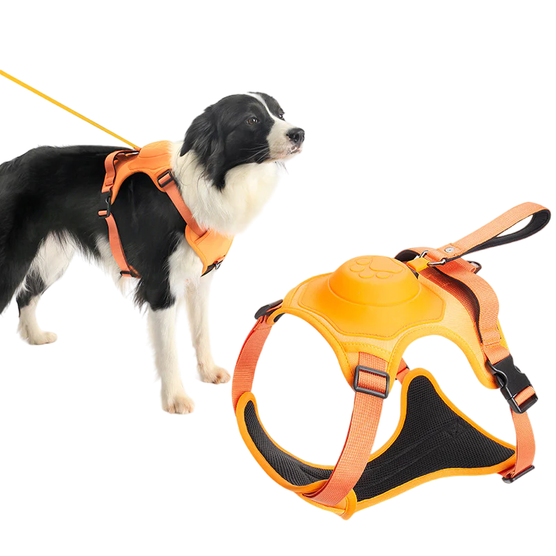 All-in-One Dog Harness & Retractable Leash