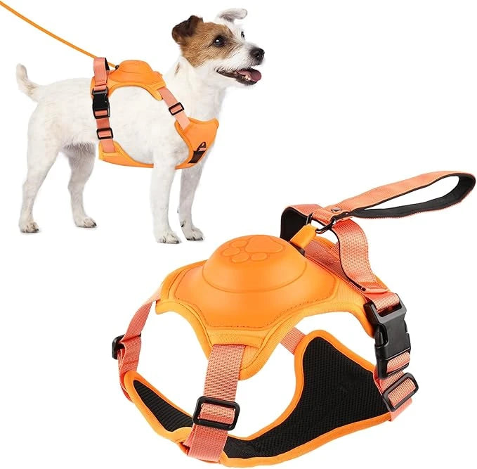 Walking & Outdoor Essentials
