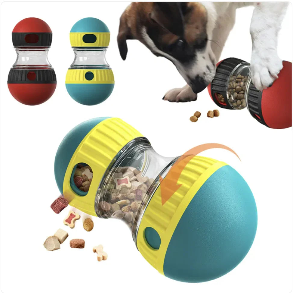 Toys & Mental Stimulation