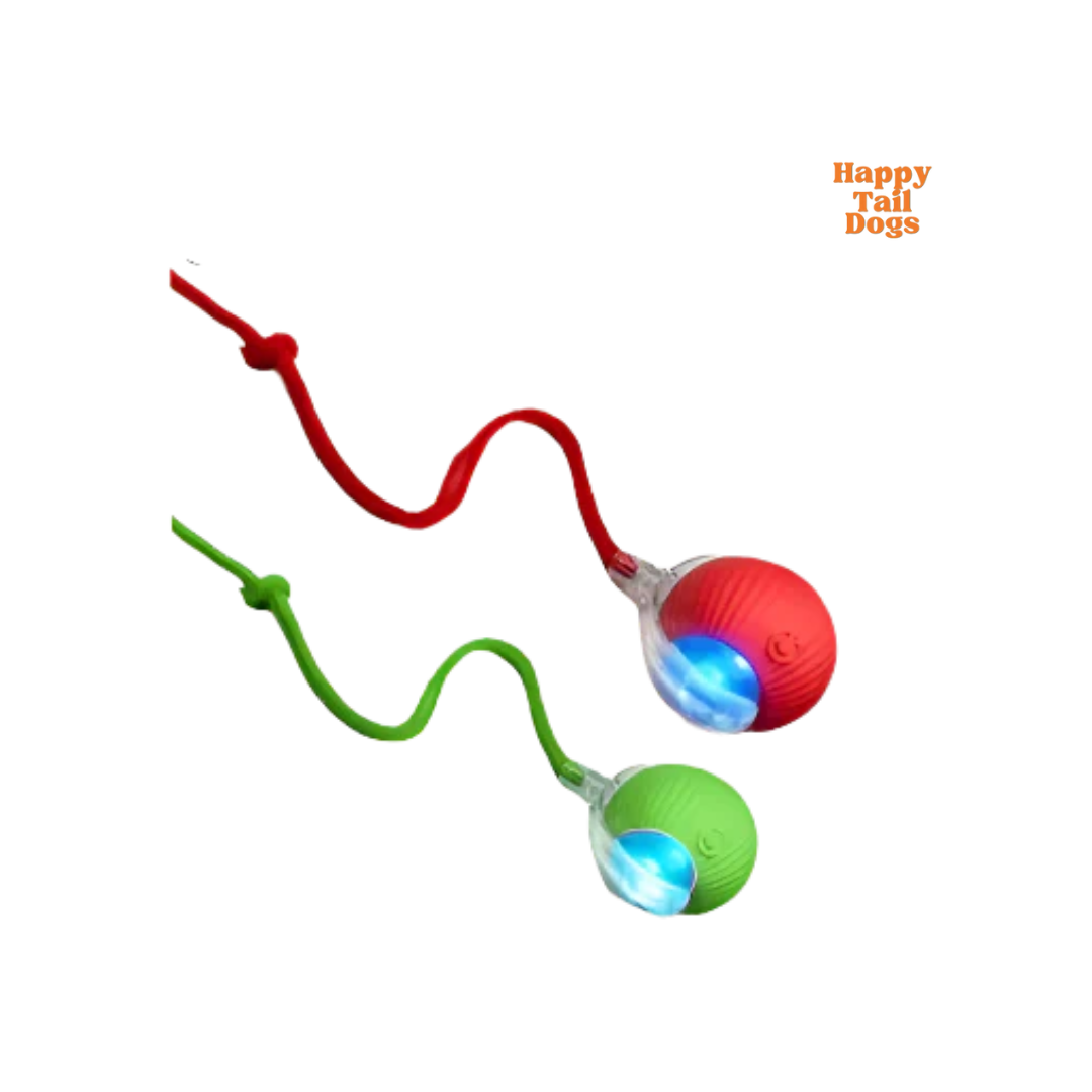 Smart Automatic Rolling Dog Ball
