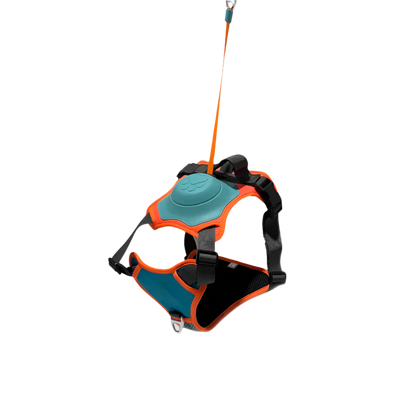 All-in-One Dog Harness & Retractable Leash