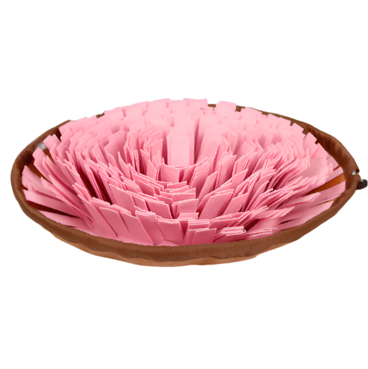 Dog Snuffle Mat and Anti-Choke Bowl
