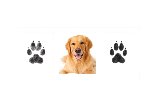 Dog Paw Print Kit with Frame